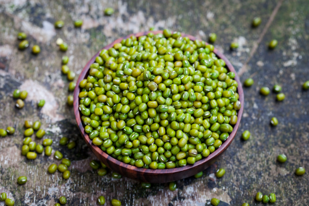 Moong
